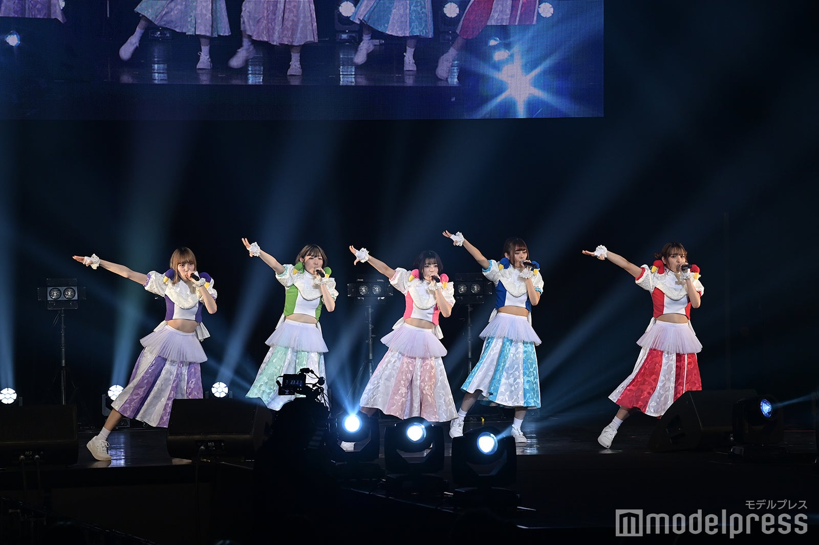 豆柴の大群（C）モデルプレス