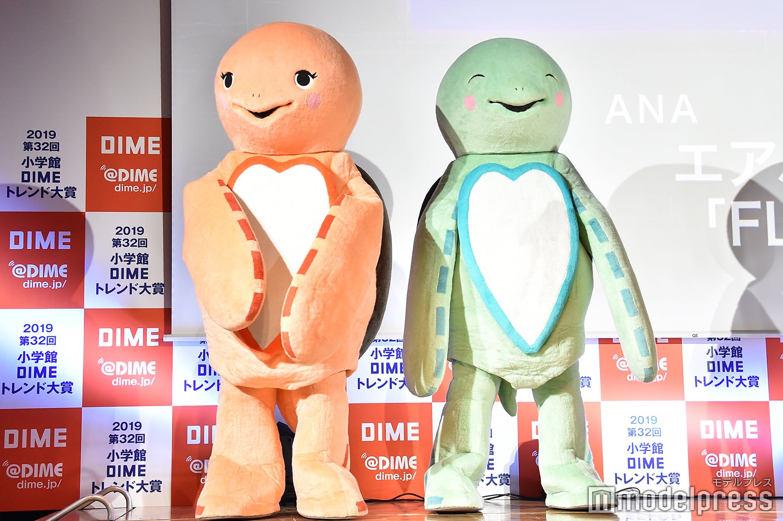 カメたち （C）モデルプレス