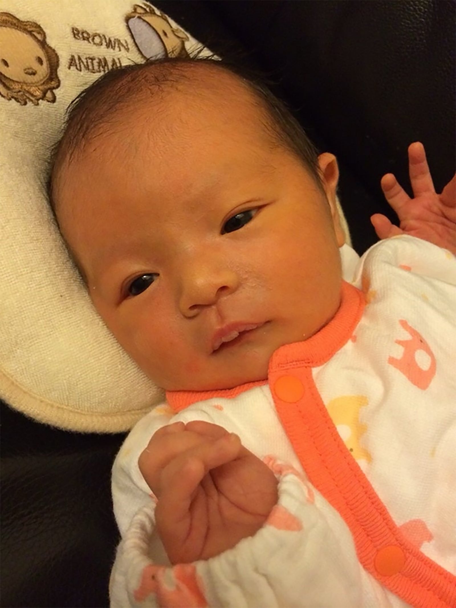 川島菜月さんブログより