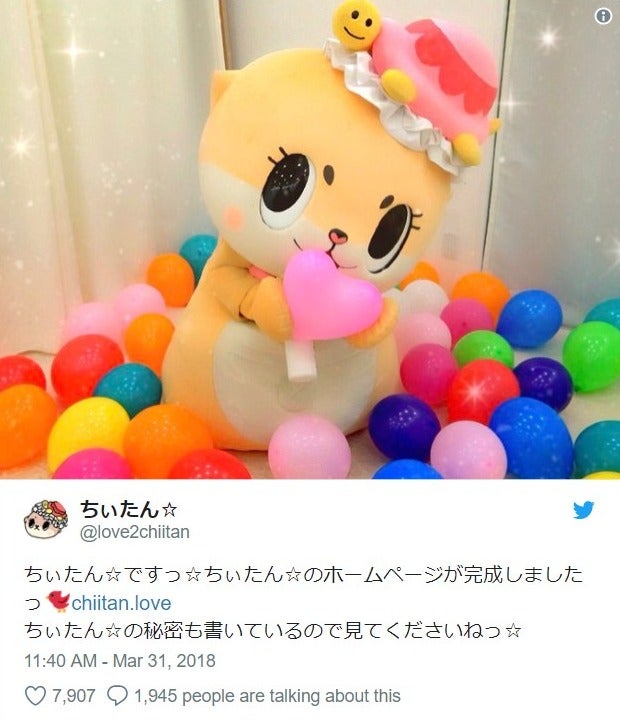 NMB48山本彩もお気に入り SNSをざわつかせる「ちぃたん☆」の正体が話題「嘘でしょ？！」「動物じゃなかった」