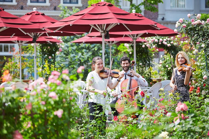 光のファンタジアシティ※イメージ／画像提供：ハウステンボス