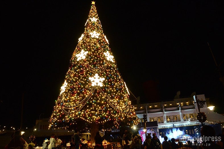 S．S．コロンビア号の前のクリスマスツリー（夜）