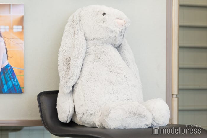 大盛真歩が撮影で使用したうさぎ(C)モデルプレス