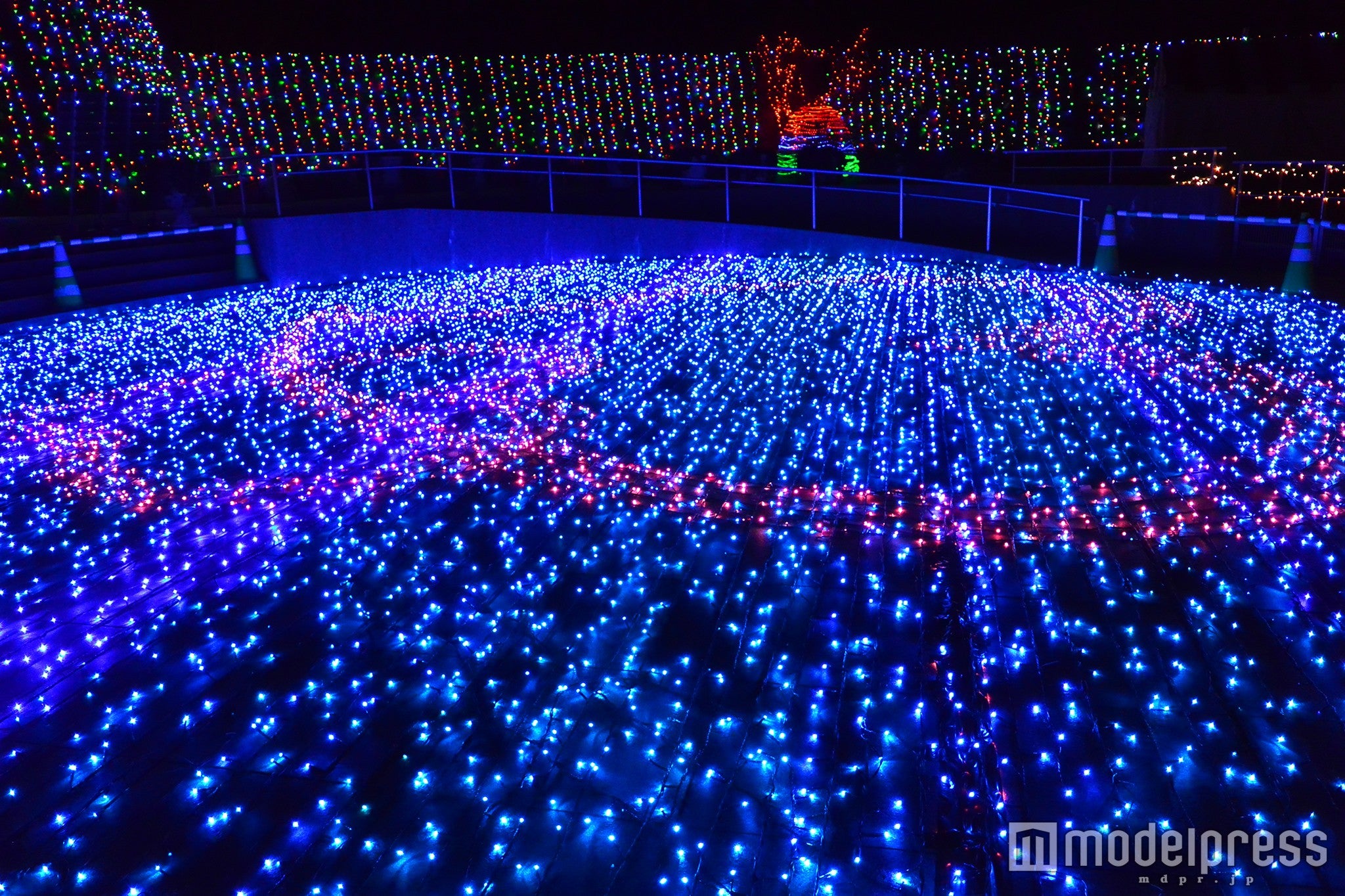 イルミネーション／画像提供：まんのう公園