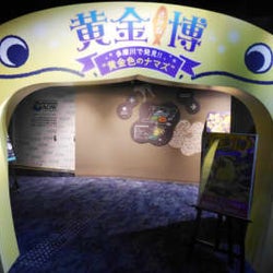 【イベントレポ】「カワスイ 川崎水族館」が『黄金さかな博~多摩川で発見!!“黄金色のナマズ”~』を開催!「たまずん」たちの美しい輝きは必見!!