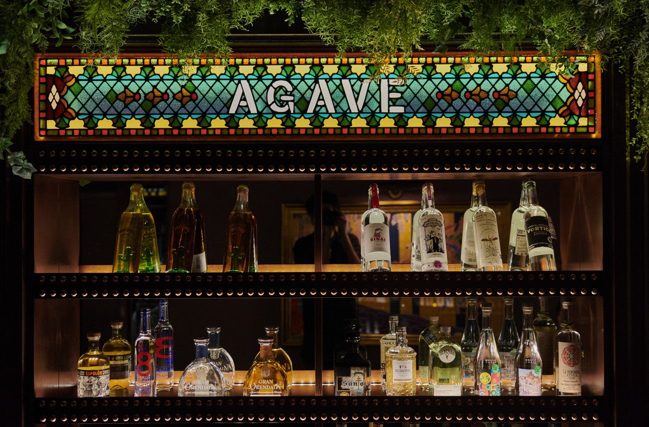 エルレキオ／画像提供：SG Group