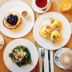 パンケーキwithメープルバター(ブルーベリー)1,600円、エッグベネディクト1,700円、ケールサラダ1,100円、コーヒー、オレンジジュース、カフェラテ (C)モデルプレス