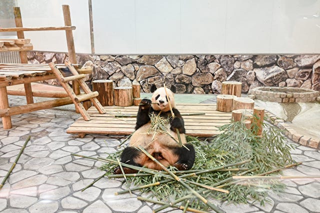 子どもも大人も大満足♡