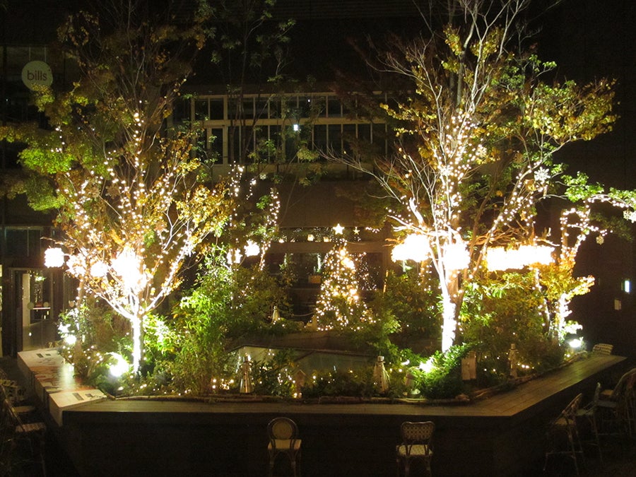 OMOHARA Christmas illumination／画像提供：東急不動産SCマネジメント