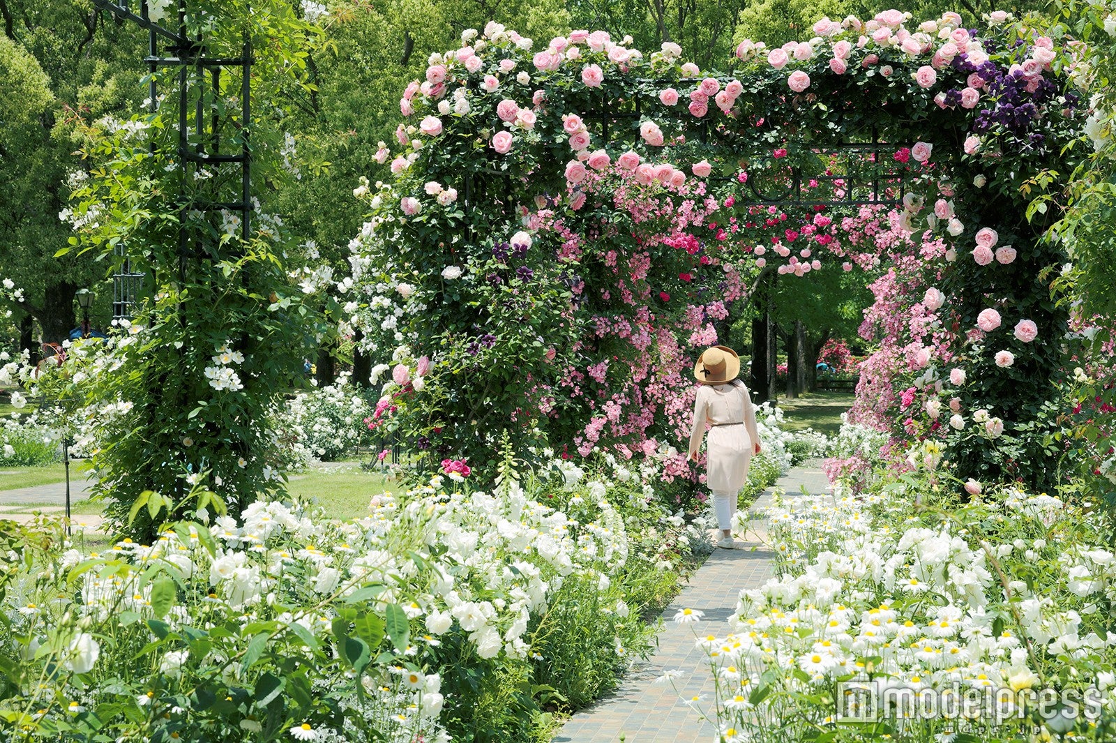 バラの宮殿／画像提供：ハウステンボス