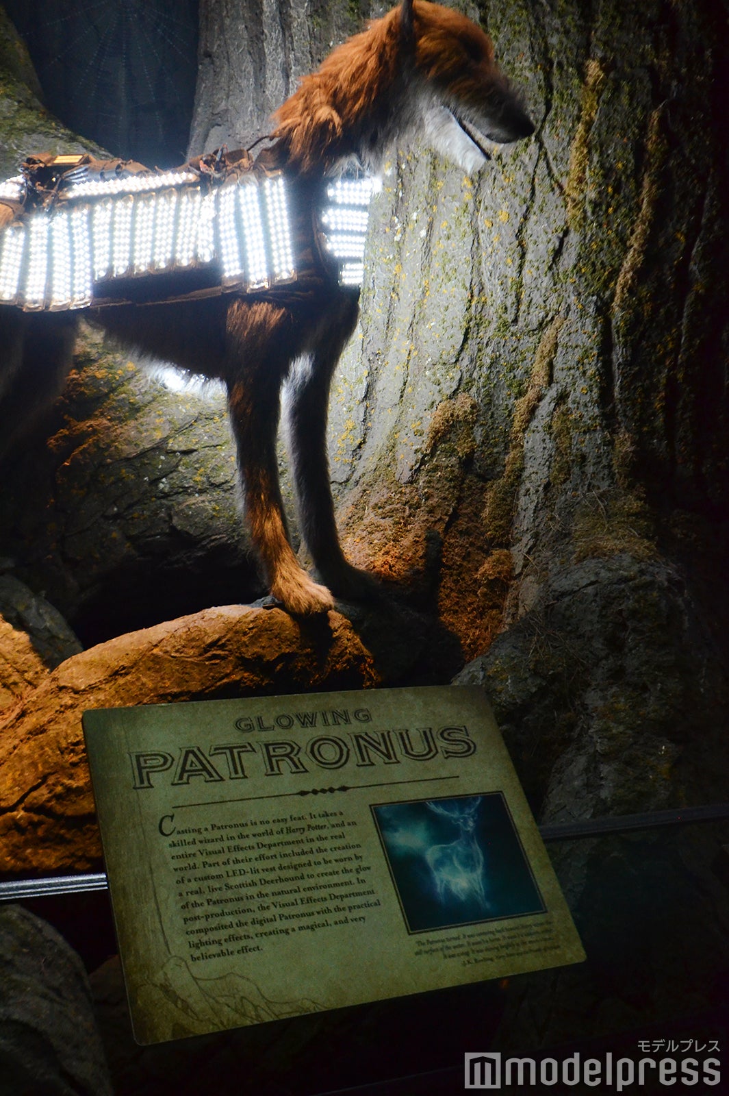 ワーナー ブラザース スタジオツアーロンドン - メイキング・オブ・ハリー・ポッター（C）モデルプレス Warner Bros. Studio Tour London – The Making of Harry Potter