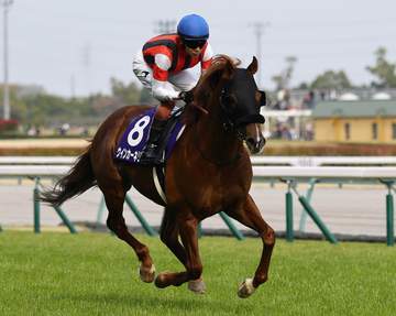 高松宮記念3着後に休養しているウインカーネリアンはキーンランドCで復帰予定