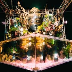 UNDER WATER SPACE/画像提供:UWS ENTERTAINMENT