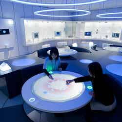 くすりのはたらき(ゲーム)/画像提供:第一三共株式会社