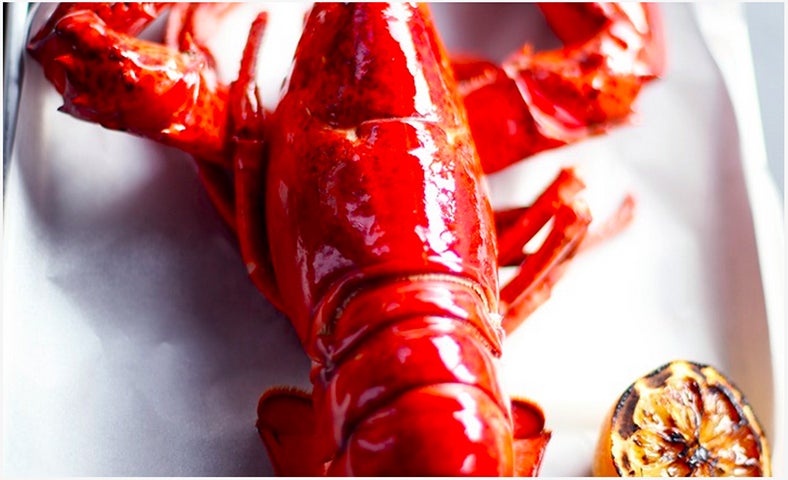 新鮮な巨大ロブスター／「Lobster Bar」オフィシャルサイトより