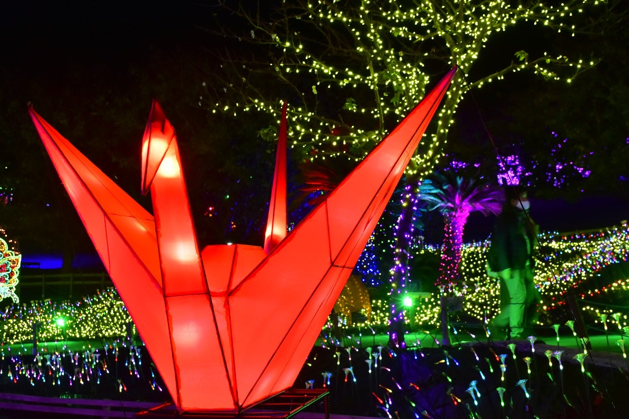 伊豆高原グランイルミ／画像提供：伊豆シャボテン公園