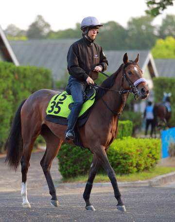 超良血！サンタンジェロ 初陣Vに自信 祖母はG1で7勝の名牝ジェンティルドンナ