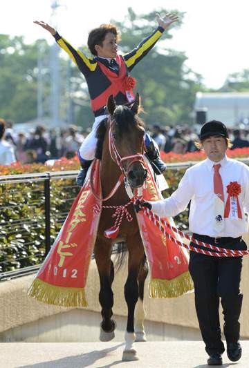 12年ダービー馬・ディープブリランテが死す 尿路結石のためぼうこう破裂し修復手術も実らず