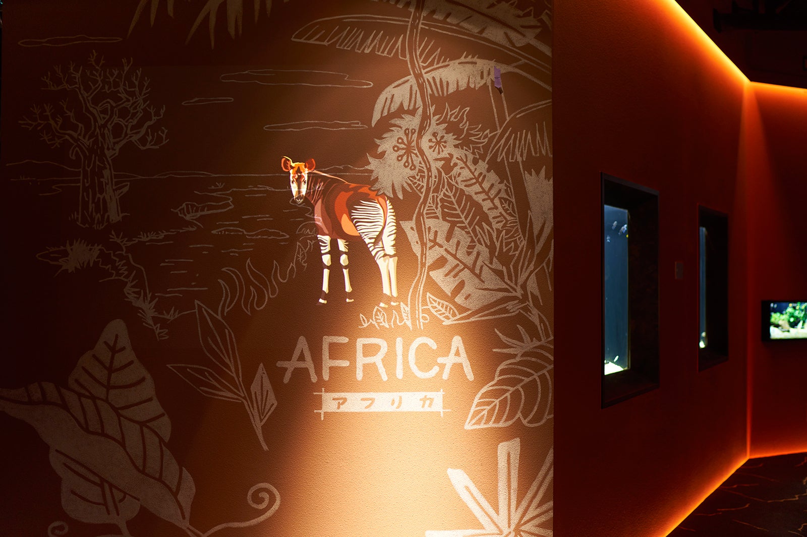 アフリカゾーン／画像提供：アクア・ライブ・インベストメント