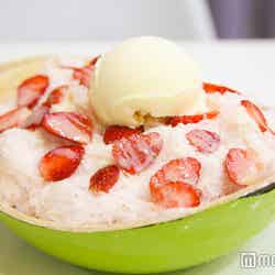 猫カフェならぬ“猫かき氷屋”さん!?台湾「彩虹猫冰屋」でほっこり癒やされる