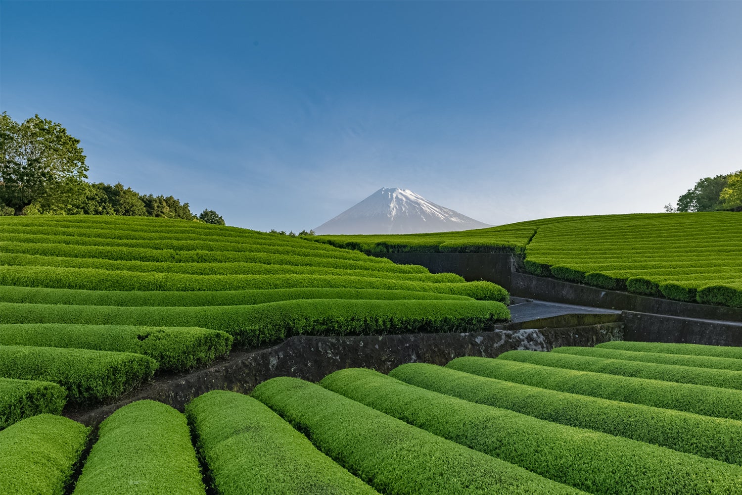 Glamping＆Port 結／画像提供：ブッキングリゾート