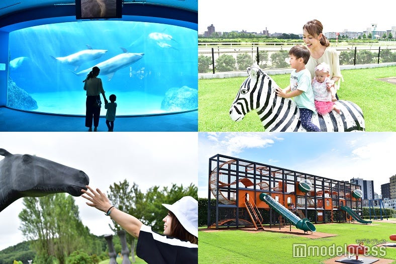 知らないなんて損してる!?ファミリーで楽しめる“意外な穴場スポット”を厳選