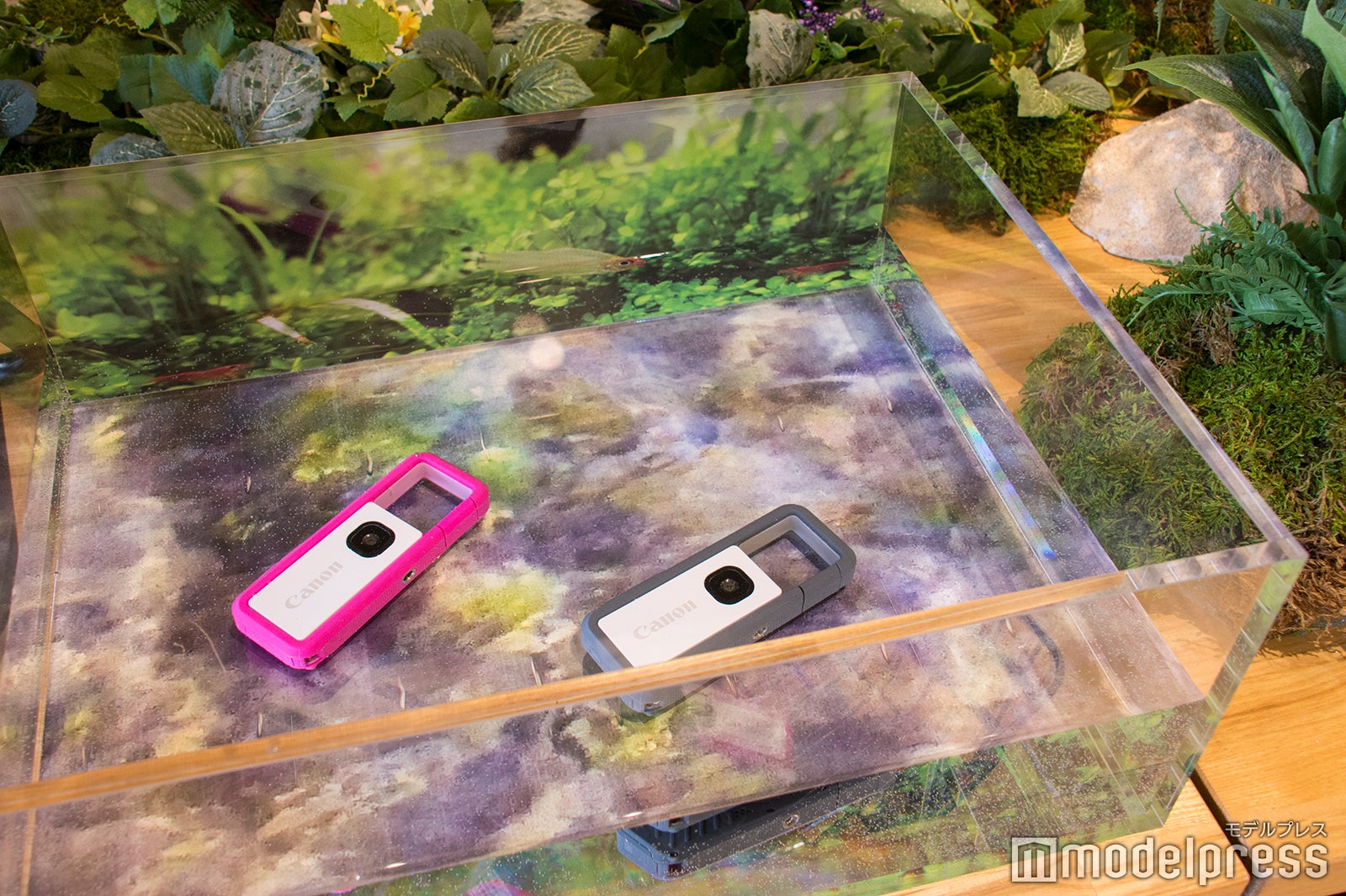 防水性もばっちり（C）モデルプレス