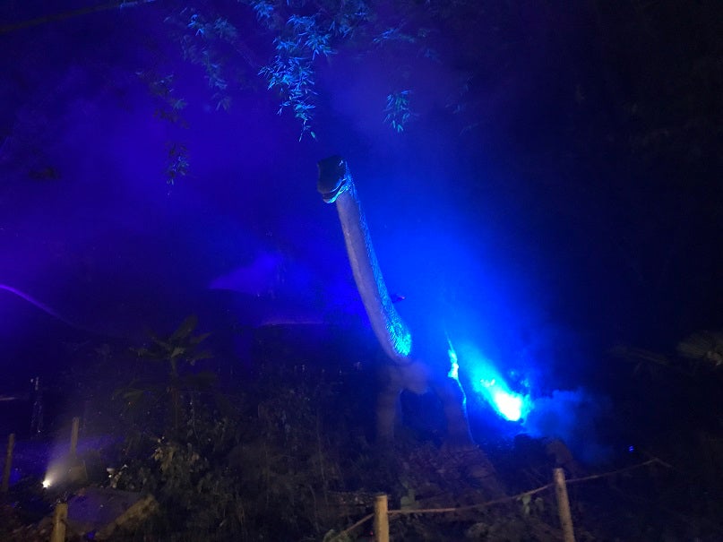 夜のダイナソーパーク／画像提供：みろくの里