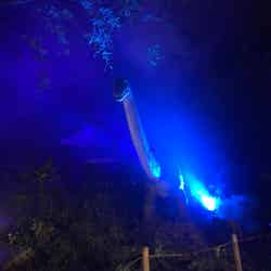 夜のダイナソーパーク/画像提供:みろくの里