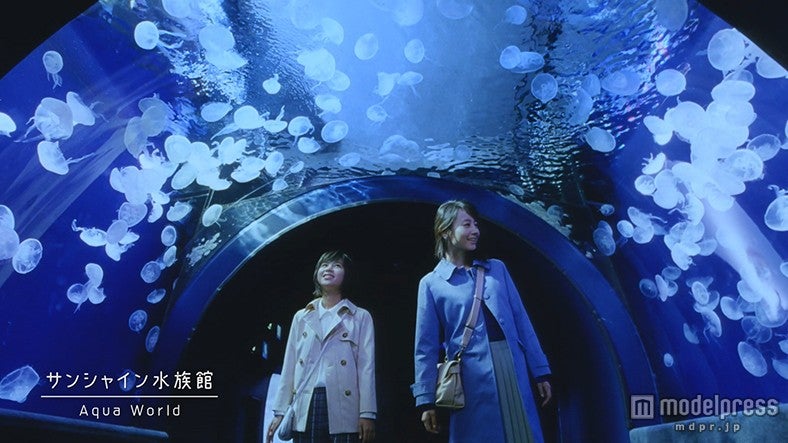 堀北真希出演新CMより