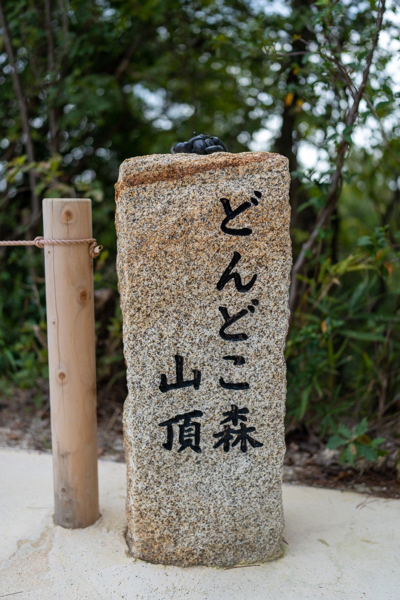 どんどこ森（C）Studio Ghibli