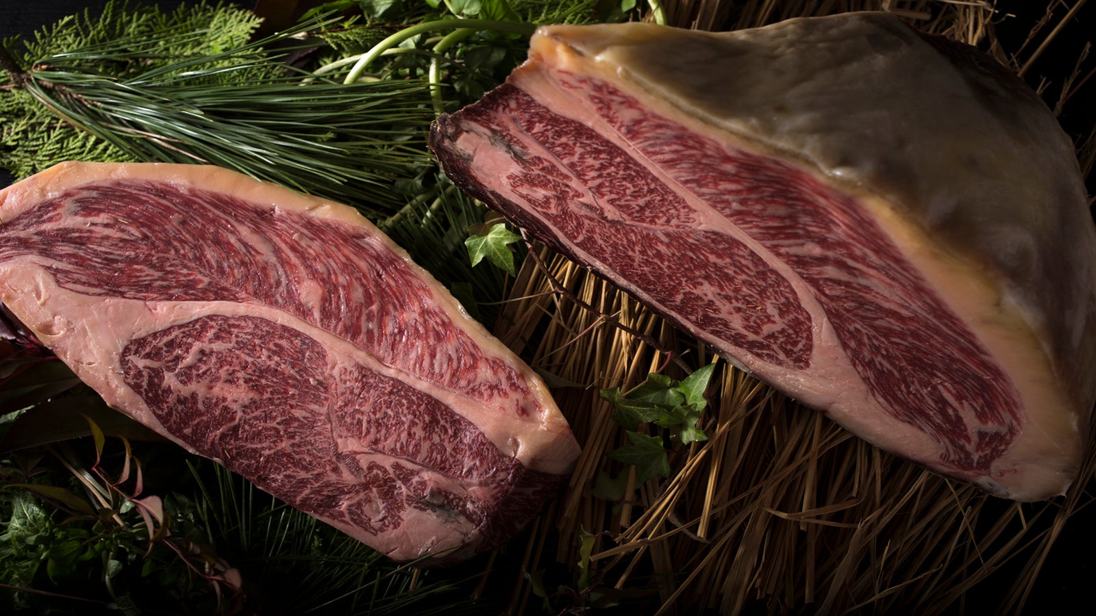 ドッグオーベルジュ千葉勝浦 離れ 風月／提供画像