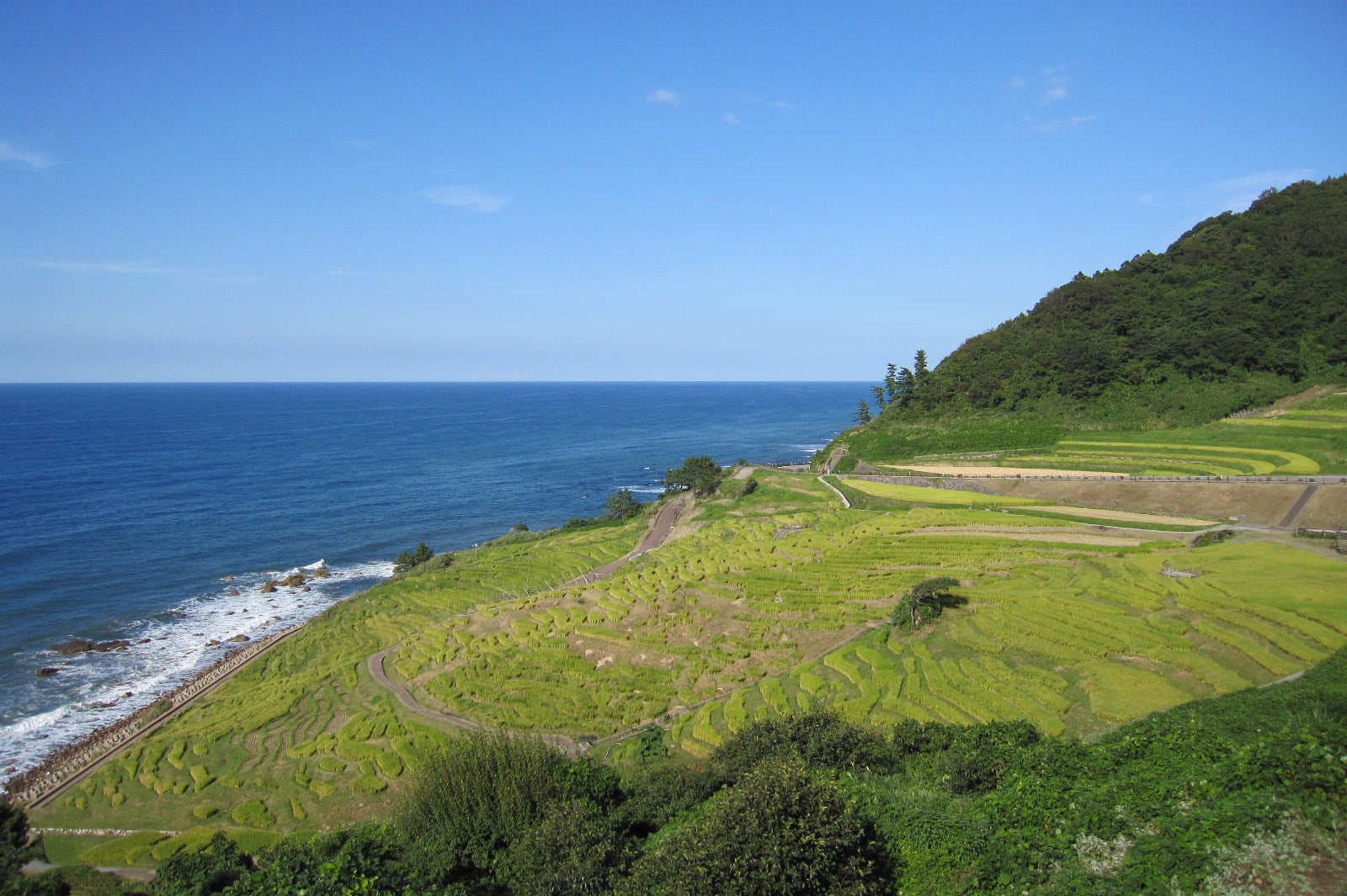 輪島白米千枚田公式サイト
