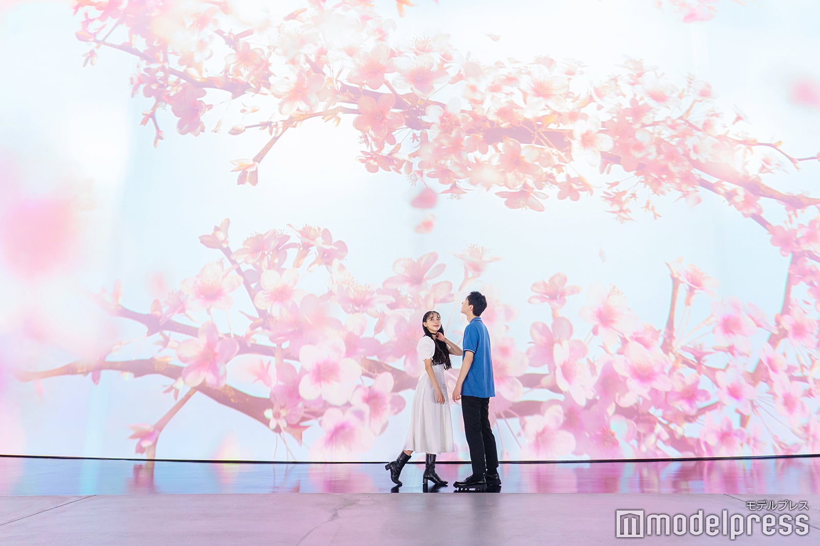 （C）モデルプレス