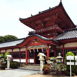 伊佐爾波神社/画像提供:愛媛県