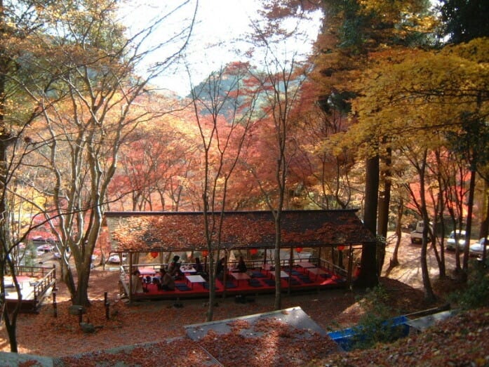 長い石段の途中にあるお休み処と美しい紅葉・黄葉（2002年11月22日撮影）