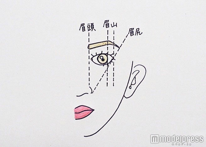 基本的な眉のバランスをチェック／写真・MAKO（C）モデルプレス