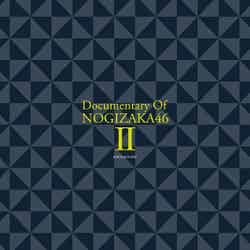 「いつのまにか、ここにいる Documentary of 乃木坂46」Blu-ray＆DVD（12月25日発売）オリジナルグッズより（C）2019「DOCUMENTARY of 乃木坂46」製作委員会