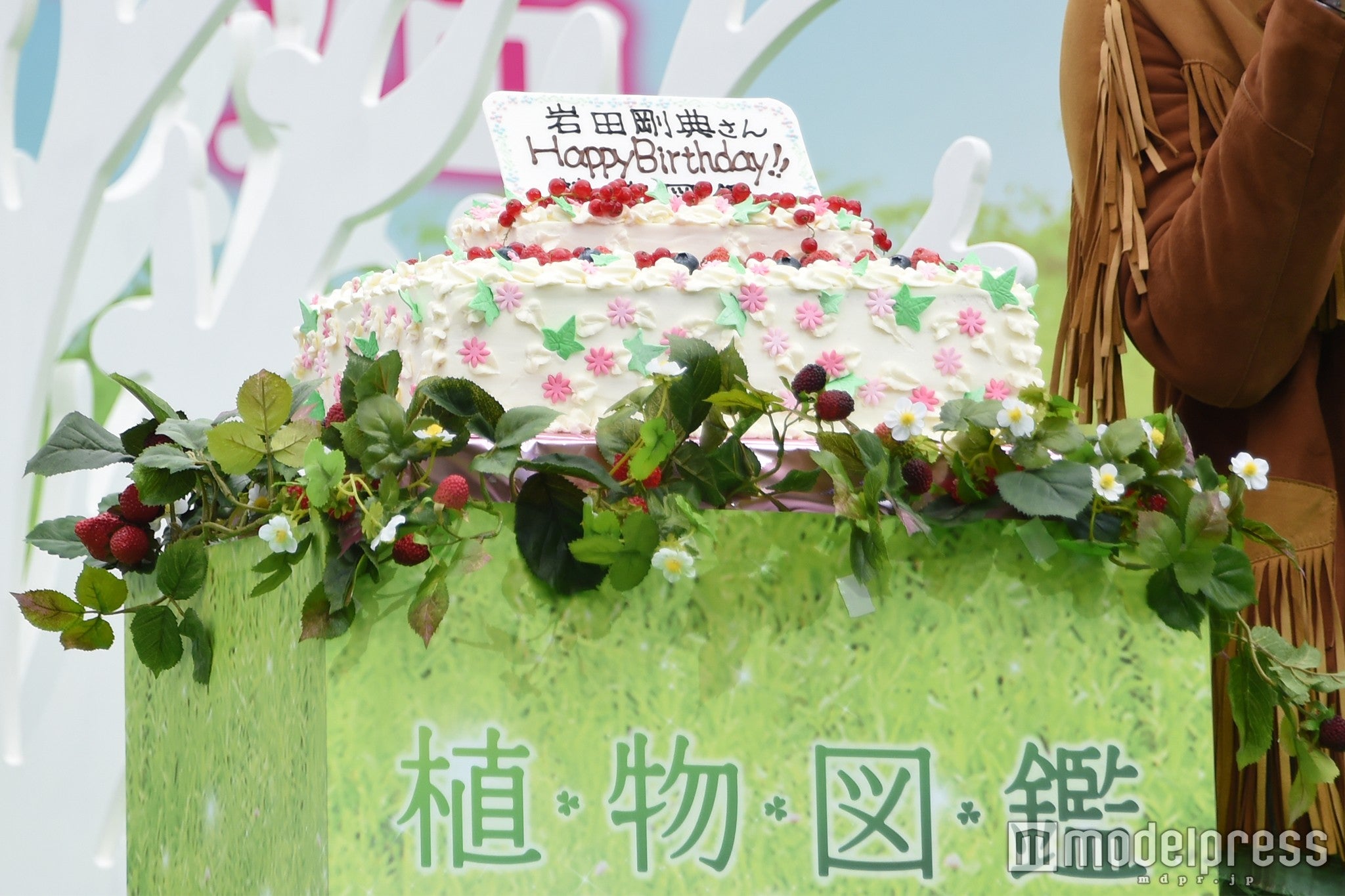 バースデーケーキ（C）モデルプレス