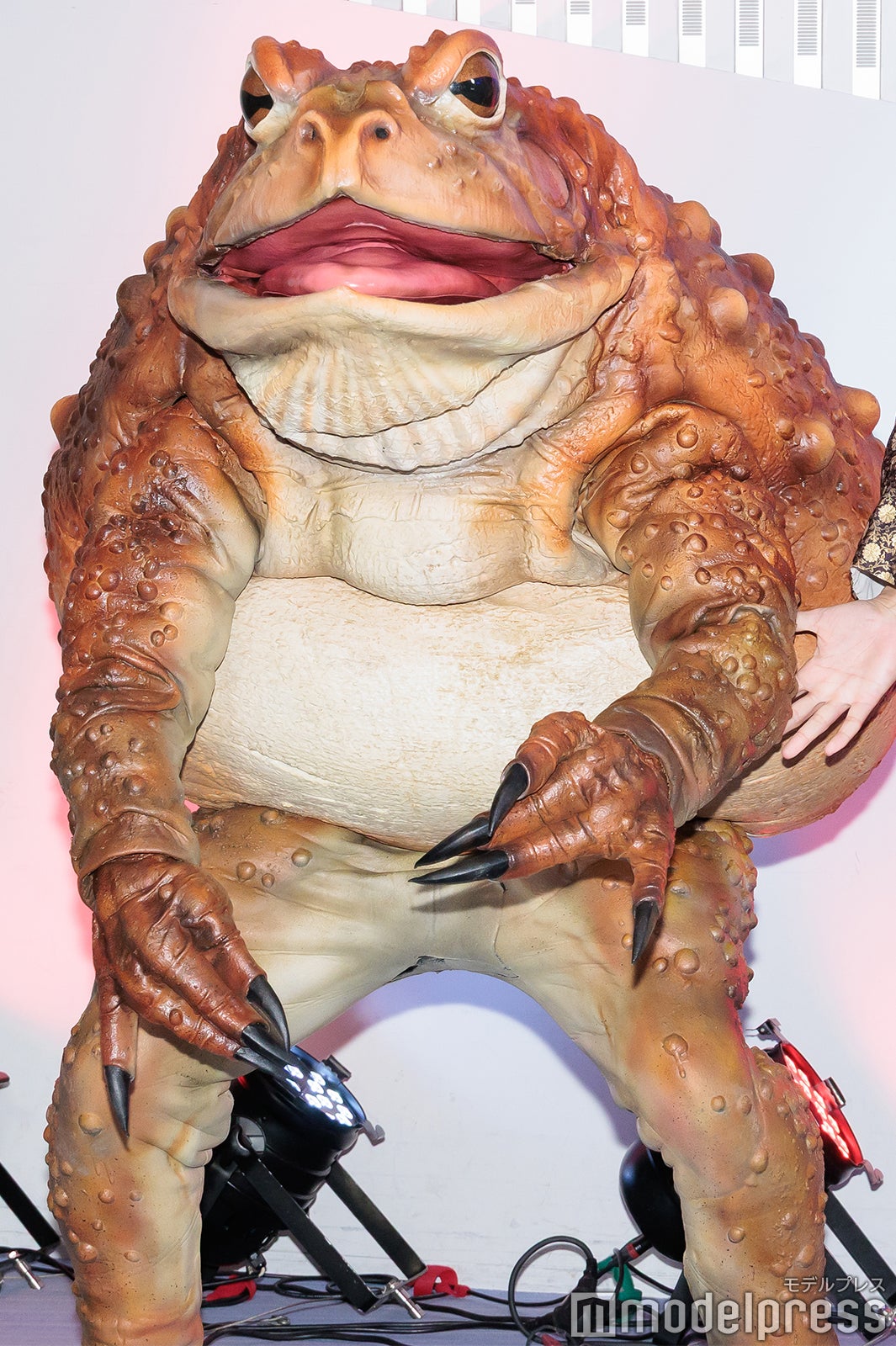 千年蟇（C）モデルプレス