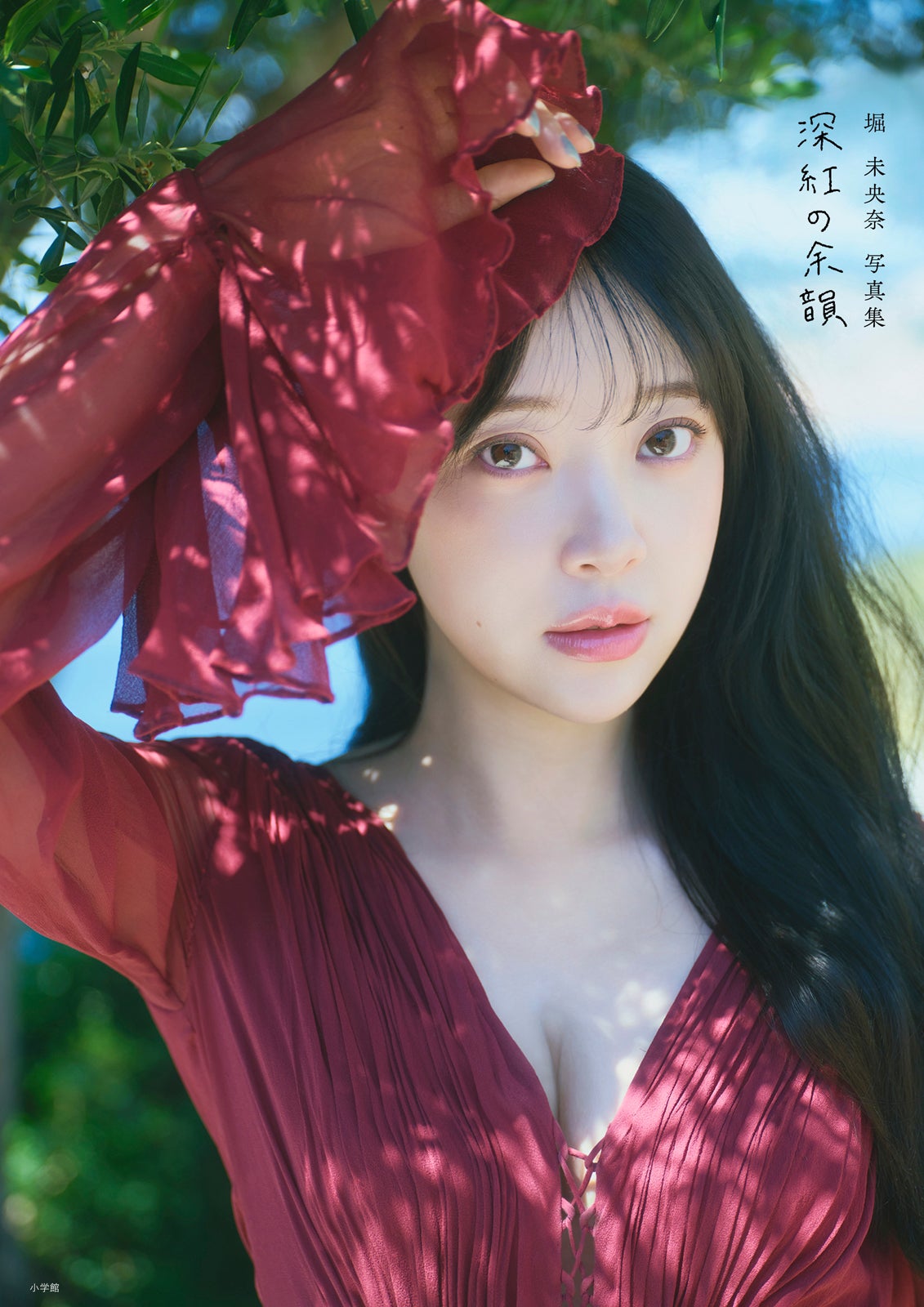 堀未央奈『深紅の余韻』表紙 撮影／藤原宏