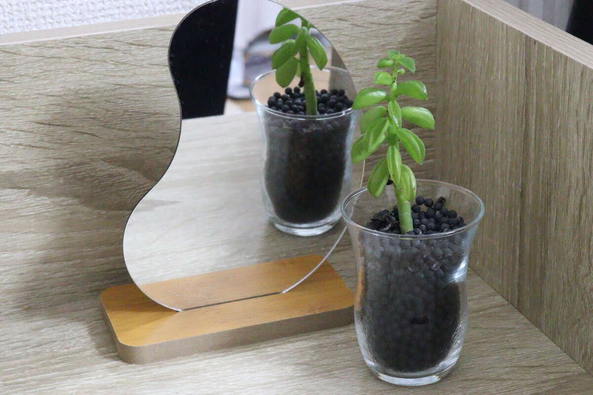 卓上に置かれたビーンズミラーと観葉植物が映り込んでいる様子
