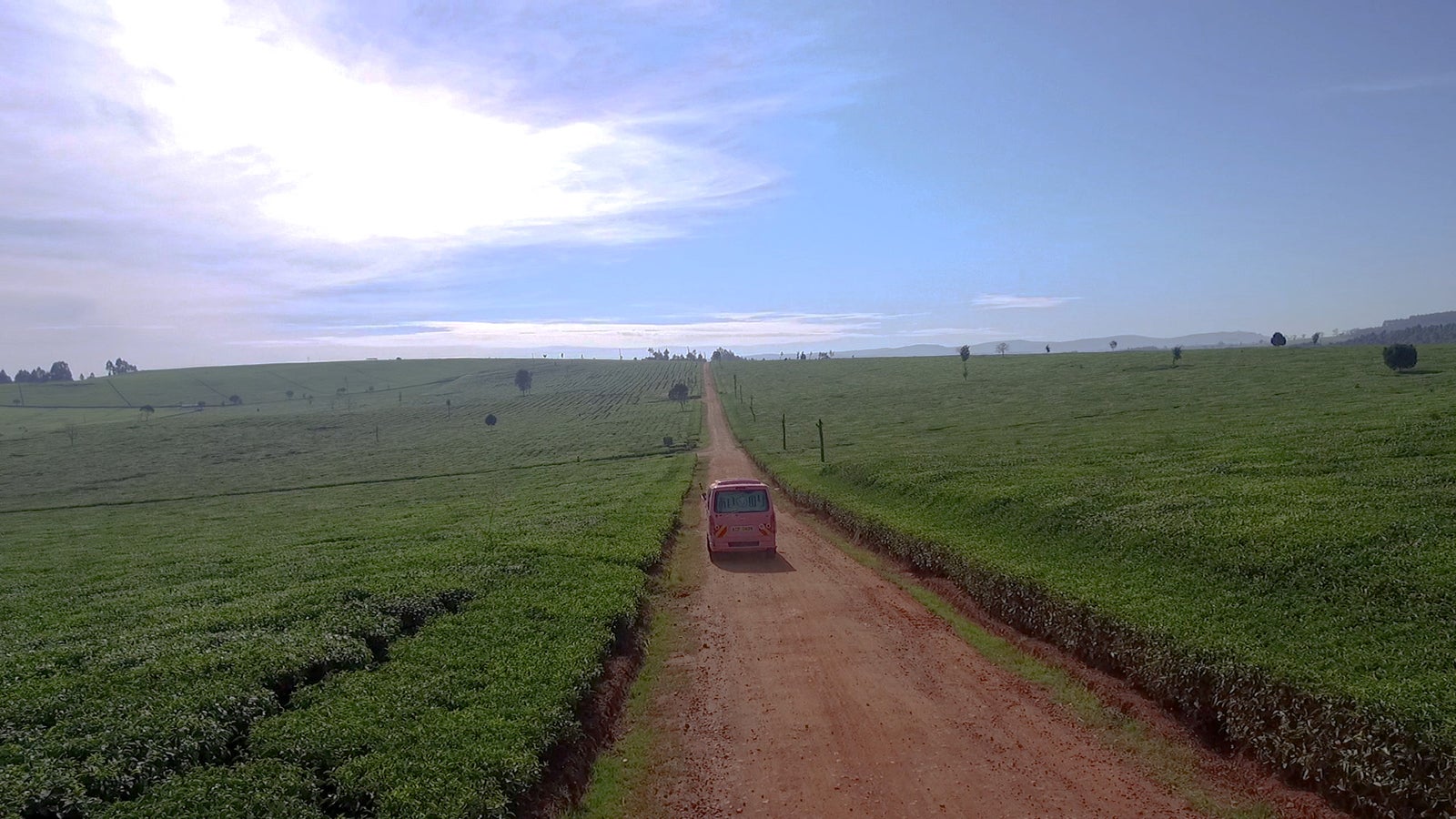 「あいのり：African Journey」第4話より（C）フジテレビ