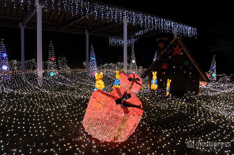 かわいいうさぎのイルミネーション※過去写真