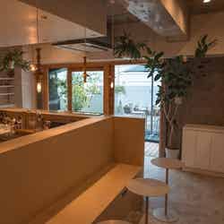 パープルコーヒー/提供画像