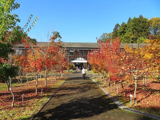 見事な紅葉に感動…♡