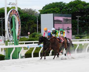 【地方競馬】サトノボヤージュが兵庫チャンピオンシップを制し、国内4連勝で重賞初制覇