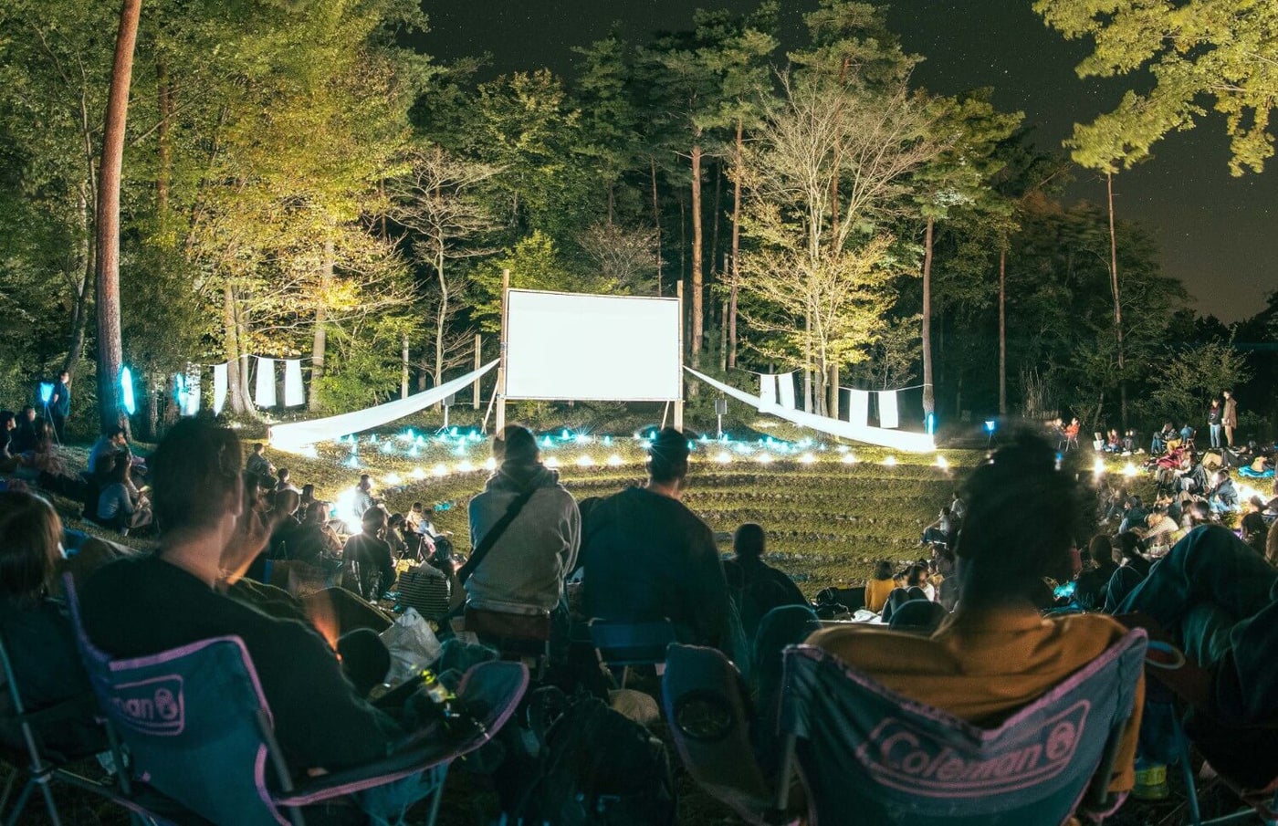 夜空と交差する森の映画祭2019／画像提供：森の映画祭実行委員会