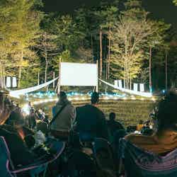 夜空と交差する森の映画祭2019／画像提供：森の映画祭実行委員会