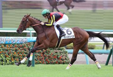 【新馬戦】ヴェトロテンペスタ 快逃デビュー星 今季100勝目のルメール「楽勝でした。次も楽しみ」
